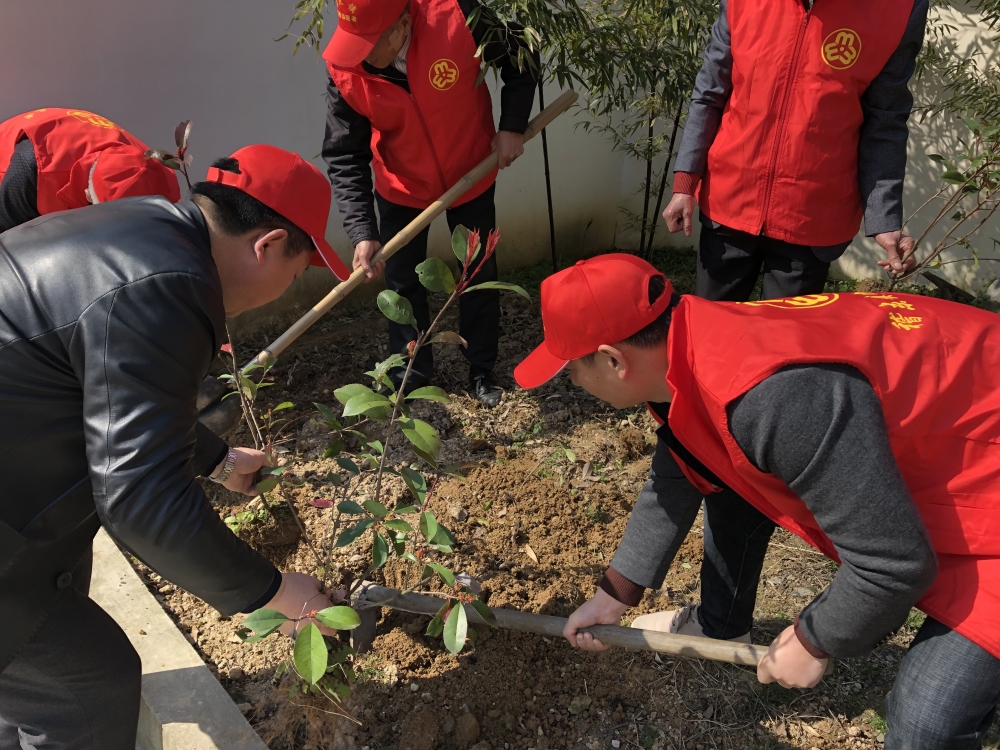 植树活动