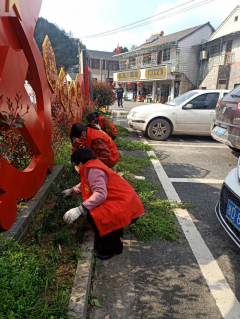 巾帼志愿者环境卫生整治活动