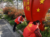 巾帼志愿者环境卫生整治活动