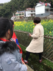 植树节植树活动