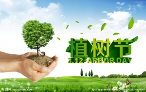 梅陇社区植树护绿活动