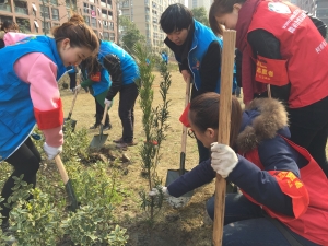 柯桥街道“青春护绿 印象柯桥” 青年树养护林志愿活动