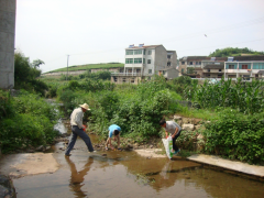 河道清理志愿活动