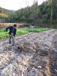 文明劝导秸秆焚烧