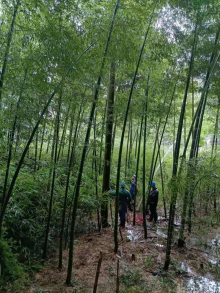 烟花台风应急保障