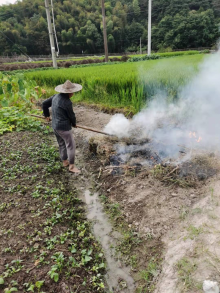 秸秆禁烧劝导管理志愿服务
