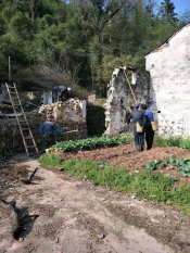 傅家岙危房巡查及排除危险