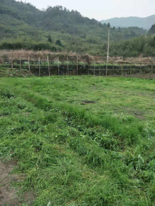 乱搭乱建拆除