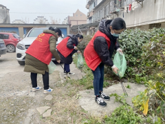 营口村清理垃圾志愿活动