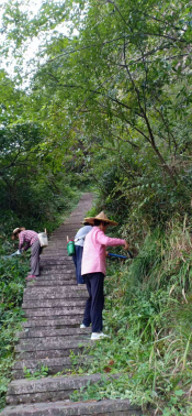 环境设施清理及小路清理活动