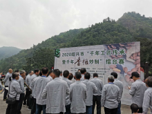 香榧炒制活动