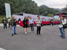 盆景赛活动