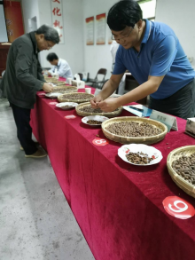 香榧炒制活动