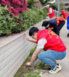 占岙村绿化带清理志愿活动