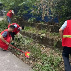 占岙村环境卫生除草志愿活动