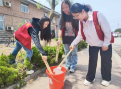 占岙村园区垃圾清理志愿活动
