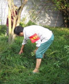 环境卫生整治