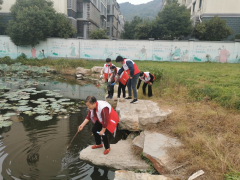 五水共治，护水木枝湖