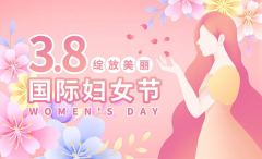 庆祝三八节多肉种植志愿活动