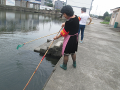 五丰村巾帼志愿护水活动