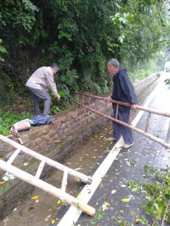 清理道路枝叶