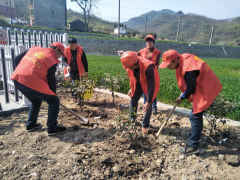 “爱护树木、保护环境”志愿服务宣传活动