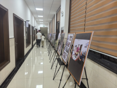 杨江村群众文化摄影展志愿活动