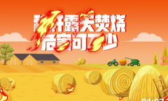 杨江村禁止焚烧秸秆宣传志愿活动