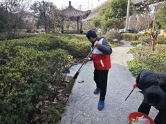 杨江村环境整治活动