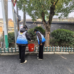 杨江村环境卫生整治志愿活动