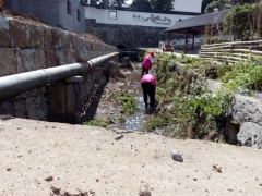 平水黄壤坞村溪沟清理