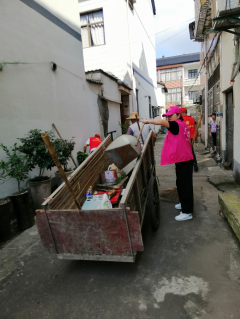 环境卫生整治