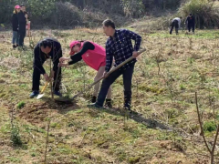 植树节志愿活动