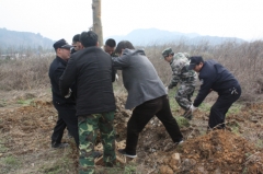 兰亭镇植树节志愿服务活动