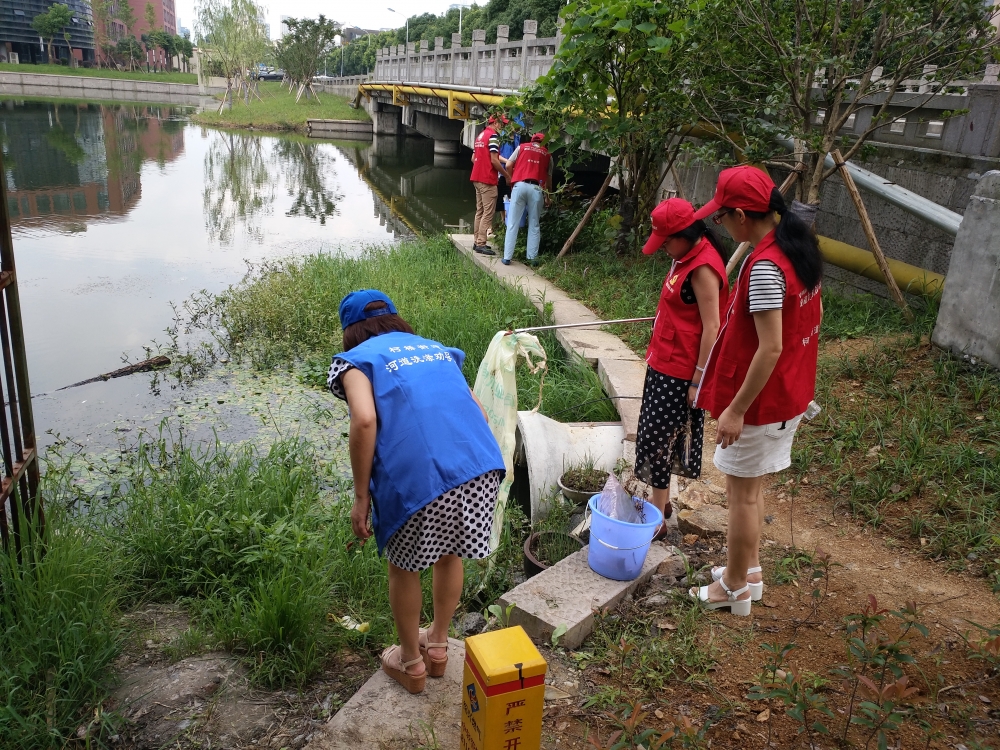 黄社溇社区党员义务护水、环境整治