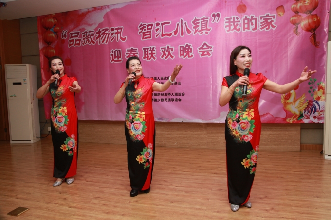 “品薇杨汛、智汇小镇－我的家”迎春文艺演出志愿服务活动
