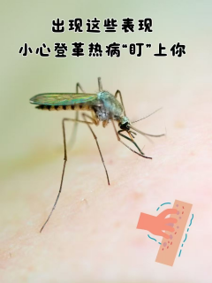 预防蚊媒传染病疫情发生