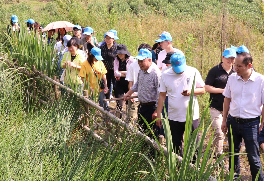 采草药传播中国中医药知识