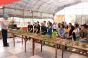 采草药传播中国中医药知识