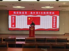 人大选举现场秩序维护帮扶