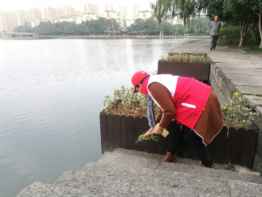 浙东古运河巡河护水行动
