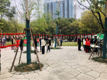 国家宪法日，普法你我他