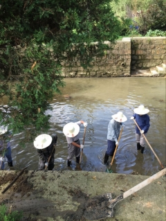 河道清淤