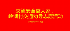 交通安全靠大家，岭湖村交通劝导志愿活动