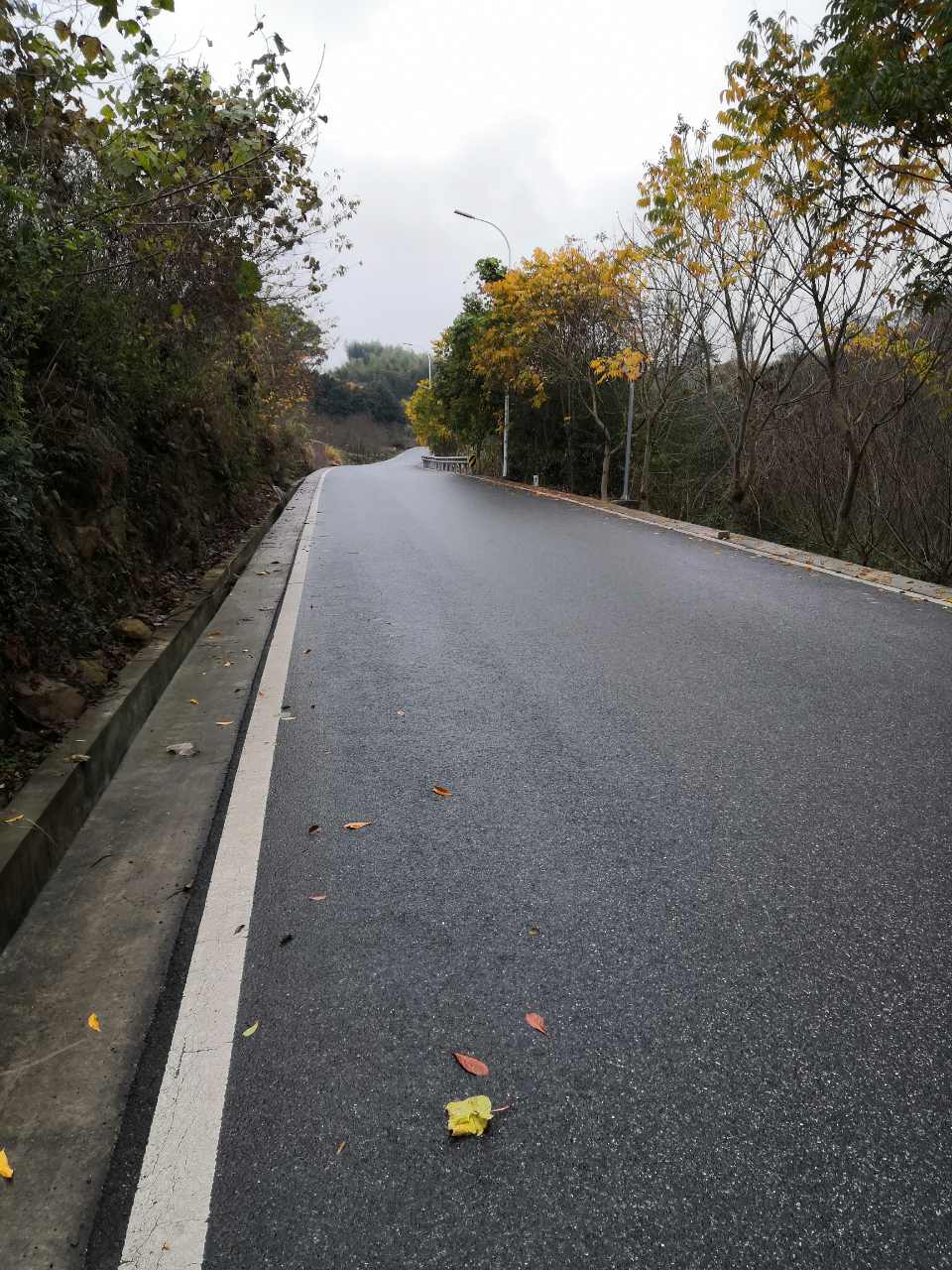 巡路