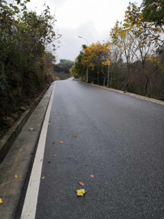 巡路