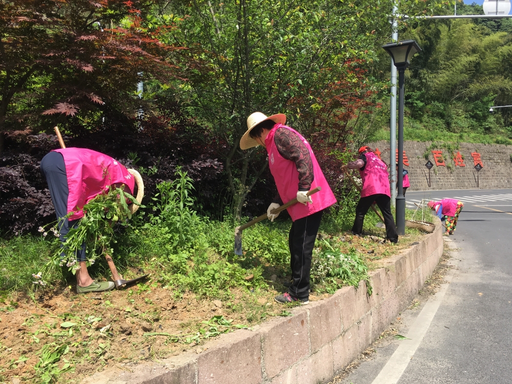 祝家村绿化种植志愿者活动