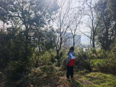 森林防火志愿宣传