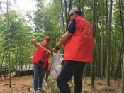 同康村游步道环境卫生整治