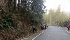 同康村开展节前环境卫生集中整治